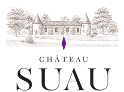 Chateau Suau