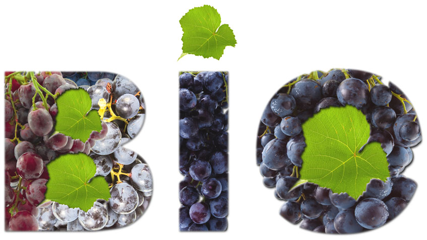 Organic wine market figures and facts - ChateauSuau
