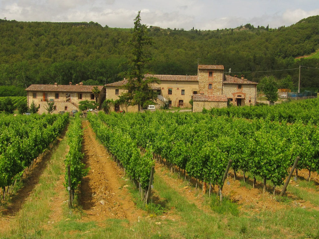 tour du monde des vins montagne du chianti